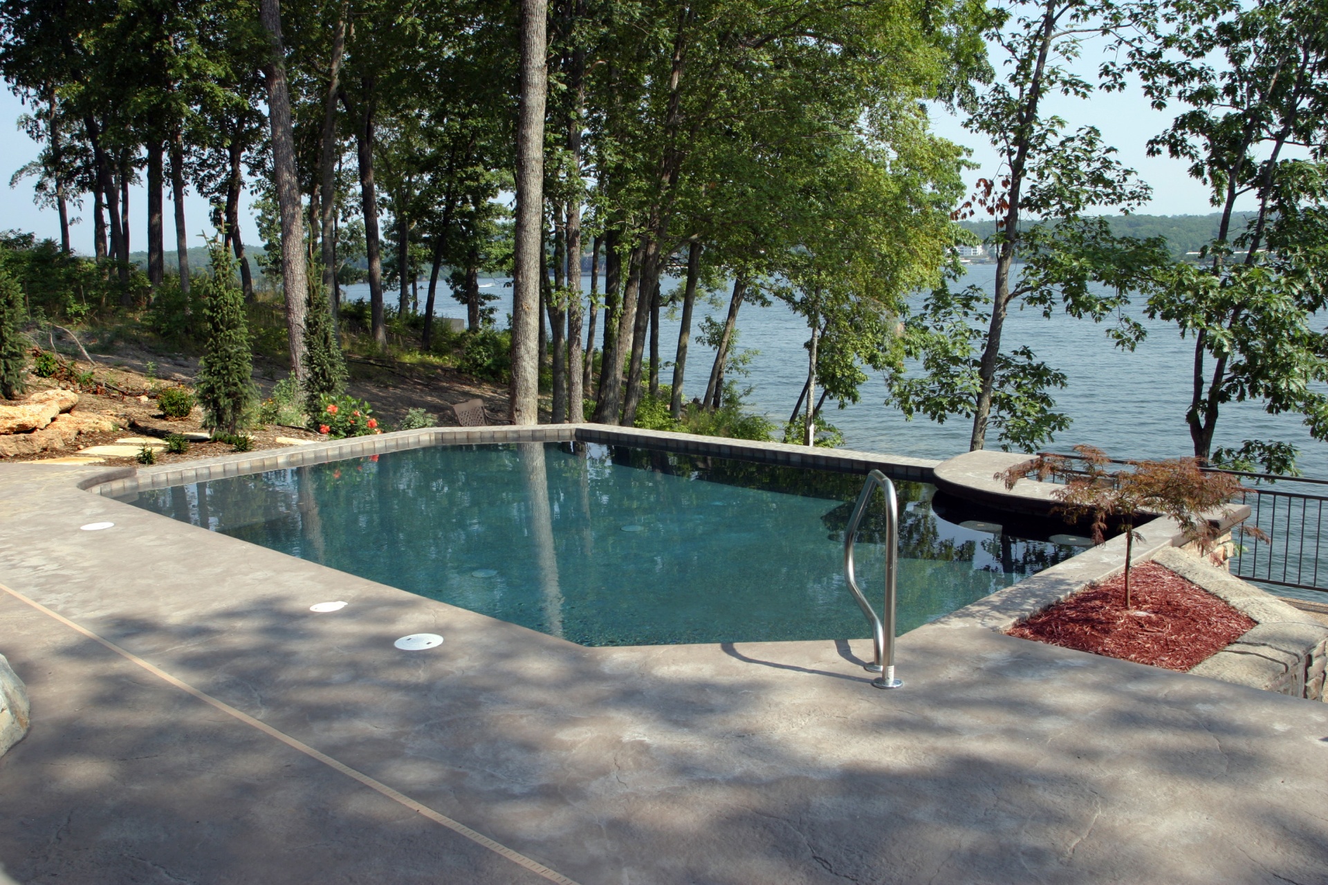 Brown Pool w_ Forest & Lake